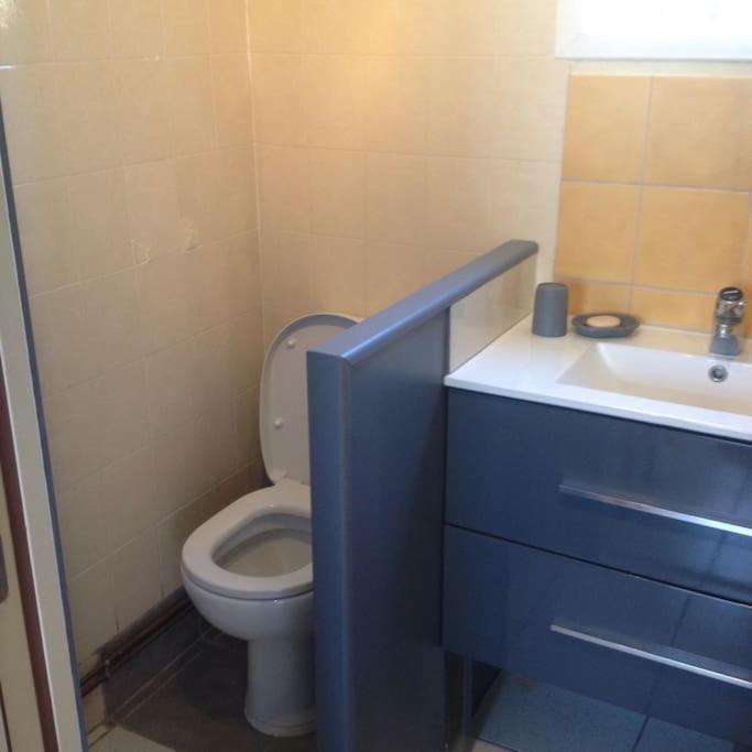 Charmante Maison A 500M De La Plage Remigeasse Dolus Ngoại thất bức ảnh